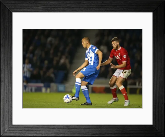 Framed Print : Brighton and Hove Albion vs. Bristol City: Sky Bet Championship Showdown at American Express Community Stadium (October 2015) Framed Print : Brighton and Hove Albion vs. Bristol City: Sky Bet Championship Showdown at American Express Community Stadium (October 2015)