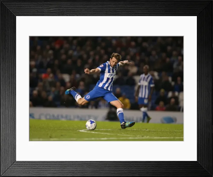 Framed Print : Brighton and Hove Albion vs. Bristol City: Sky Bet Championship Showdown at American Express Community Stadium (October 2015) Framed Print : Brighton and Hove Albion vs. Bristol City: Sky Bet Championship Showdown at American Express Community Stadium (October 2015)