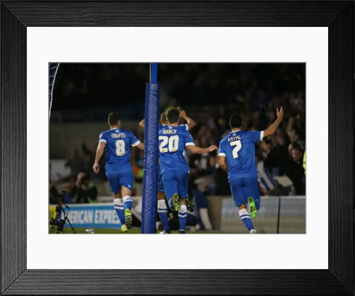 Framed Print : Brighton and Hove Albion vs. Bristol City: Sky Bet Championship Showdown at American Express Community Stadium (October 2015)