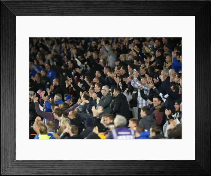 Framed Print : Brighton and Hove Albion vs. Bristol City: Sky Bet Championship Showdown at American Express Community Stadium (October 2015)