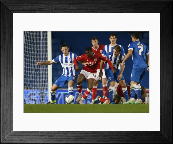 Framed Print : Brighton and Hove Albion vs. Bristol City: Sky Bet Championship Showdown at American Express Community Stadium (October 20, 2015) Framed Print : Brighton and Hove Albion vs. Bristol City: Sky Bet Championship Showdown at American Express Community Stadium (October 20, 2015)