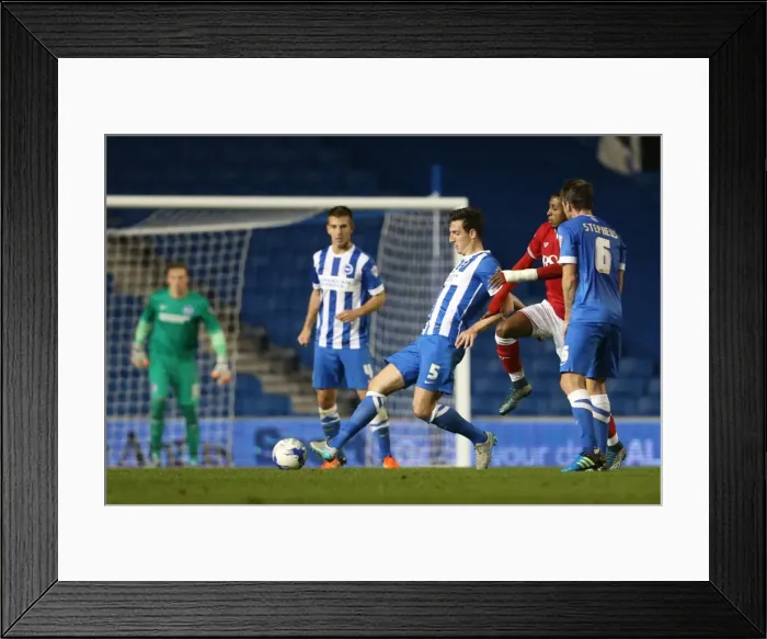 Framed Print : Brighton and Hove Albion vs. Bristol City: Sky Bet Championship Showdown at American Express Community Stadium (October 2015) Framed Print : Brighton and Hove Albion vs. Bristol City: Sky Bet Championship Showdown at American Express Community Stadium (October 2015)