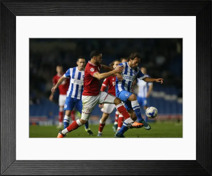 Framed Print : Brighton and Hove Albion vs. Bristol City: Sky Bet Championship Showdown at American Express Community Stadium (10-2015) Framed Print : Brighton and Hove Albion vs. Bristol City: Sky Bet Championship Showdown at American Express Community Stadium (10-2015)