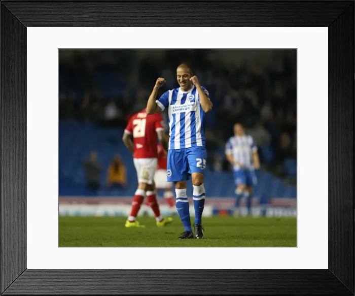 Framed Print : Brighton and Hove Albion vs. Bristol City: Sky Bet Championship Showdown at American Express Community Stadium (October 2015) Framed Print : Brighton and Hove Albion vs. Bristol City: Sky Bet Championship Showdown at American Express Community Stadium (October 2015)