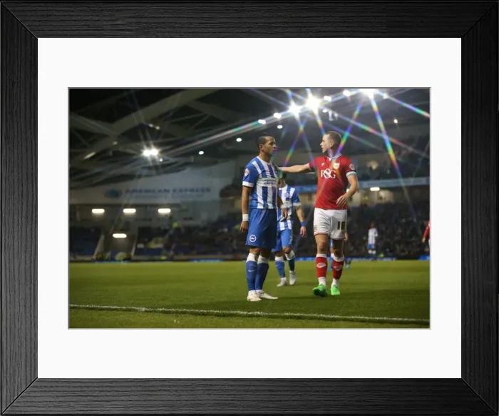Framed Print : Brighton & Hove Albion vs. Bristol City: Sky Bet Championship Showdown at American Express Community Stadium (10.2015) Framed Print : Brighton & Hove Albion vs. Bristol City: Sky Bet Championship Showdown at American Express Community Stadium (10.2015)