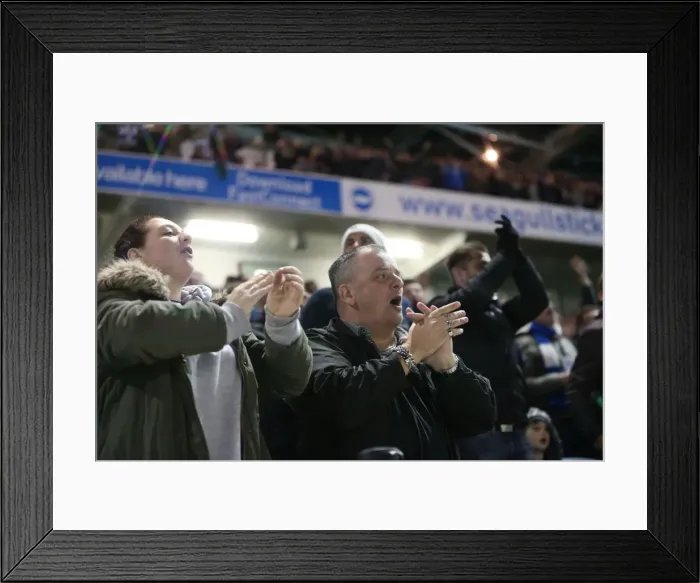 Framed Print : Brighton and Hove Albion vs. Bristol City: Sky Bet Championship Showdown at American Express Community Stadium (October 2015) Framed Print : Brighton and Hove Albion vs. Bristol City: Sky Bet Championship Showdown at American Express Community Stadium (October 2015)