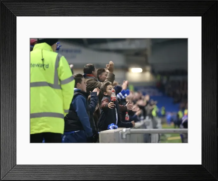 Framed Print : Brighton and Hove Albion vs. Bristol City: Sky Bet Championship Showdown at American Express Community Stadium (10-2015) Framed Print : Brighton and Hove Albion vs. Bristol City: Sky Bet Championship Showdown at American Express Community Stadium (10-2015)
