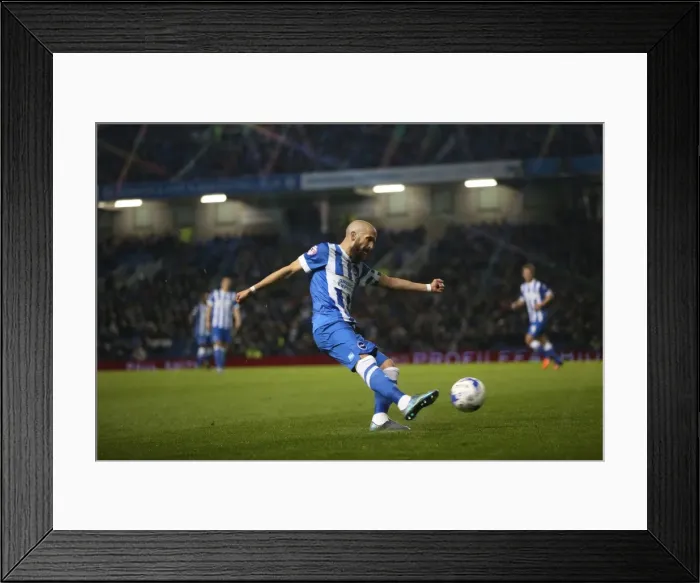 Framed Print : Brighton and Hove Albion vs. Bristol City: Sky Bet Championship Clash at American Express Community Stadium (20102015) Framed Print : Brighton and Hove Albion vs. Bristol City: Sky Bet Championship Clash at American Express Community Stadium (20102015)