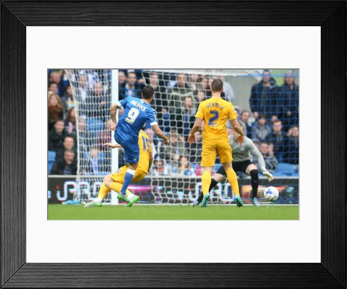 Framed Print : Brighton & Hove Albion vs. Preston North End: Sky Bet Championship Showdown at American Express Community Stadium (24 / 10 / 2015) Framed Print : Brighton & Hove Albion vs. Preston North End: Sky Bet Championship Showdown at American Express Community Stadium (24 / 10 / 2015)