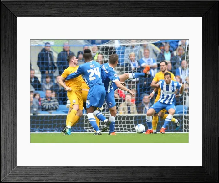 Framed Print : Brighton & Hove Albion vs. Preston North End: Sky Bet Championship Showdown at American Express Community Stadium (24 / 10 / 2015)