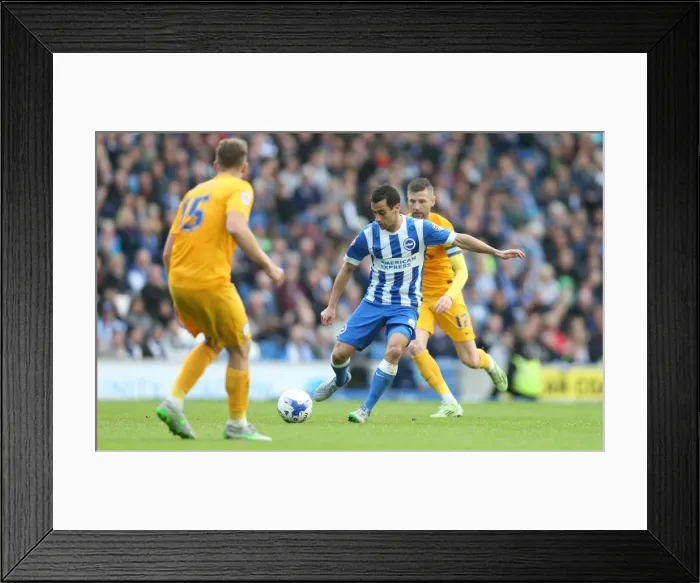 Framed Print : Brighton & Hove Albion vs. Preston North End: Sky Bet Championship Showdown at American Express Community Stadium (October 24, 2015) Framed Print : Brighton & Hove Albion vs. Preston North End: Sky Bet Championship Showdown at American Express Community Stadium (October 24, 2015)
