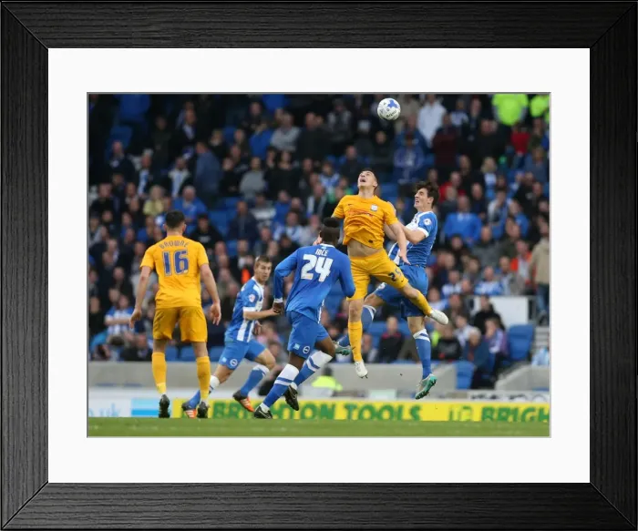 Framed Print : Brighton & Hove Albion vs. Preston North End: Sky Bet Championship Showdown at American Express Community Stadium (24 / 10 / 2015) Framed Print : Brighton & Hove Albion vs. Preston North End: Sky Bet Championship Showdown at American Express Community Stadium (24 / 10 / 2015)