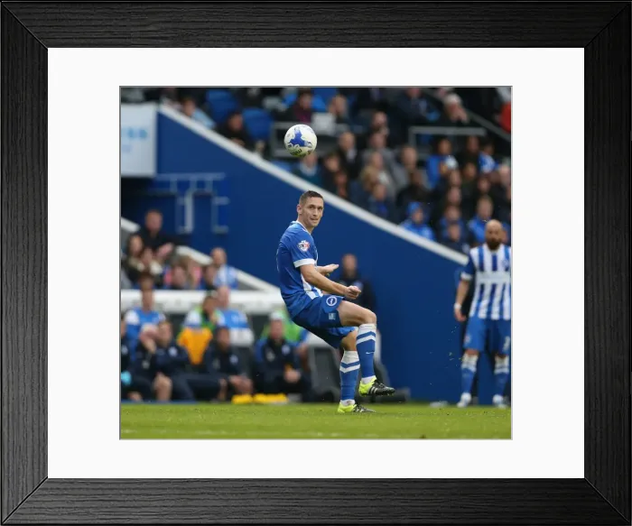 Framed Print : Brighton and Hove Albion vs. Preston North End: Sky Bet Championship Showdown at American Express Community Stadium (24 / 10 / 2015)