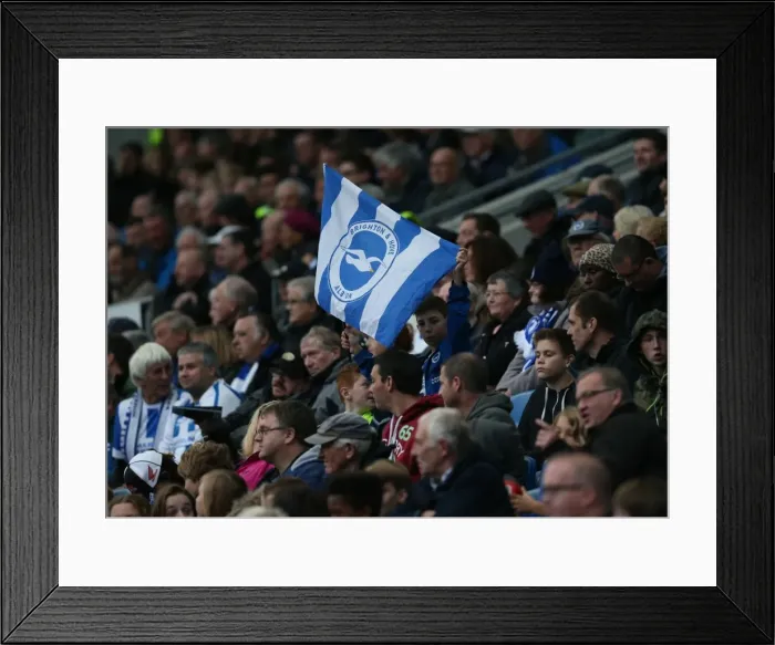 Framed Print : Brighton & Hove Albion vs. Preston North End: Sky Bet Championship Showdown at American Express Community Stadium (24 / 10 / 2015) Framed Print : Brighton & Hove Albion vs. Preston North End: Sky Bet Championship Showdown at American Express Community Stadium (24 / 10 / 2015)