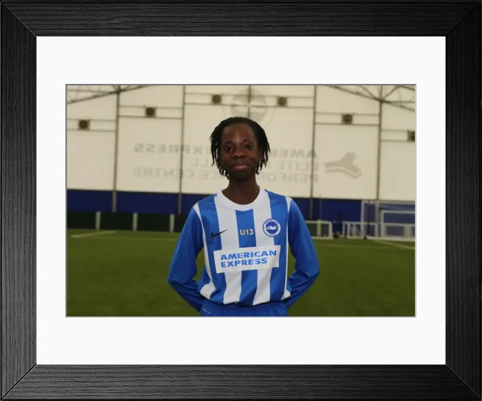 Framed Print : Brighton & Hove Albion FC U13 Academy Team - Season 2015-2016: Team Photo Framed Print : Brighton & Hove Albion FC U13 Academy Team - Season 2015-2016: Team Photo