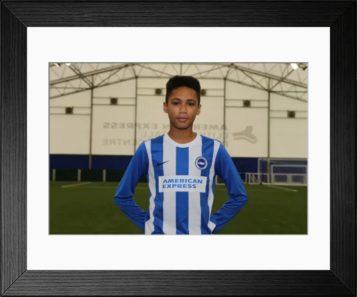 Framed Print : Brighton & Hove Albion FC U13 Academy Team: 2015-16 Season Group Photo Framed Print : Brighton & Hove Albion FC U13 Academy Team: 2015-16 Season Group Photo
