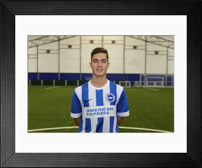 Framed Print : Brighton & Hove Albion FC U18 Team: 2015-16 Academy Year Headshots Framed Print : Brighton & Hove Albion FC U18 Team: 2015-16 Academy Year Headshots