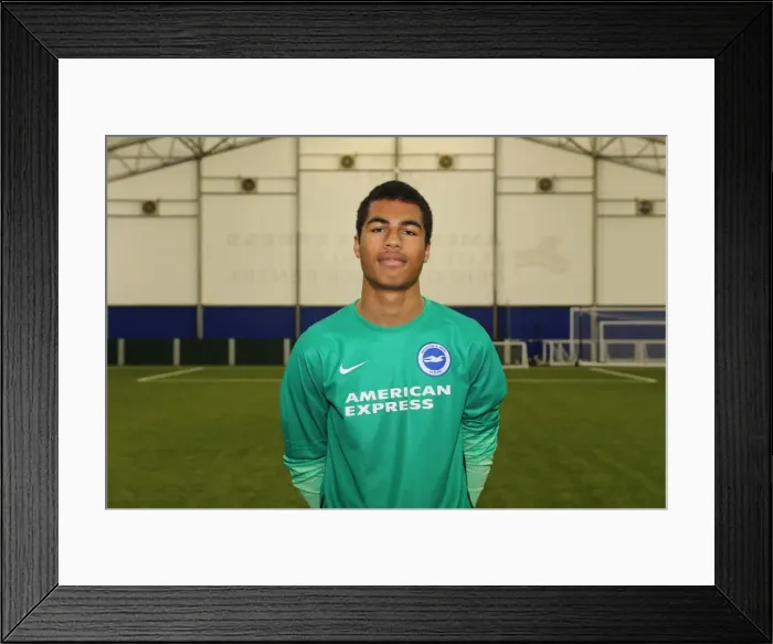 Framed Print : Brighton & Hove Albion FC U18 Team: 2015-16 Academy Year Portraits Framed Print : Brighton & Hove Albion FC U18 Team: 2015-16 Academy Year Portraits