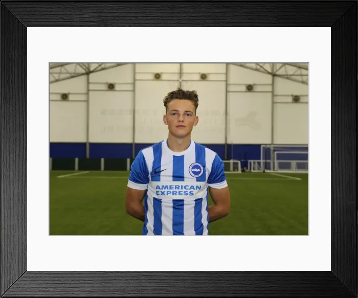Framed Print : Brighton & Hove Albion FC U18 Academy Team - Season 2015-16: Team Photo Framed Print : Brighton & Hove Albion FC U18 Academy Team - Season 2015-16: Team Photo