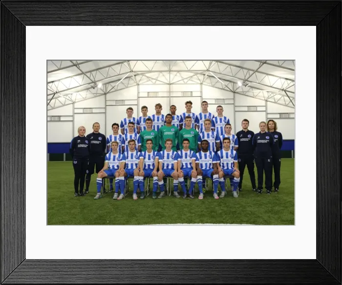 Framed Print : Brighton & Hove Albion FC U18 Academy Team - Season 2015-16: Thurs. 29th Oct. 2015 Framed Print : Brighton & Hove Albion FC U18 Academy Team - Season 2015-16: Thurs. 29th Oct. 2015
