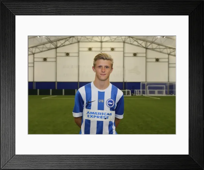 Framed Print : Brighton & Hove Albion FC U16 Academy Team - Season 2015-16: Team Photo Framed Print : Brighton & Hove Albion FC U16 Academy Team - Season 2015-16: Team Photo