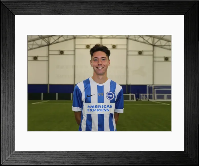 Framed Print : Brighton & Hove Albion FC U16 Academy Team - Season 2015-2016: Team Photo Framed Print : Brighton & Hove Albion FC U16 Academy Team - Season 2015-2016: Team Photo