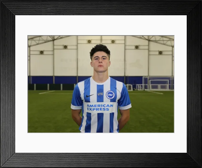 Framed Print : Brighton & Hove Albion FC U16 Academy Team Photo - Season 2015-2016 Framed Print : Brighton & Hove Albion FC U16 Academy Team Photo - Season 2015-2016