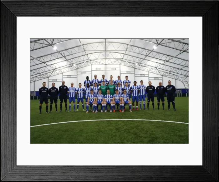 Framed Print : Brighton & Hove Albion FC U21 Team: 2015-16 Season Annual Photoshoot Framed Print : Brighton & Hove Albion FC U21 Team: 2015-16 Season Annual Photoshoot