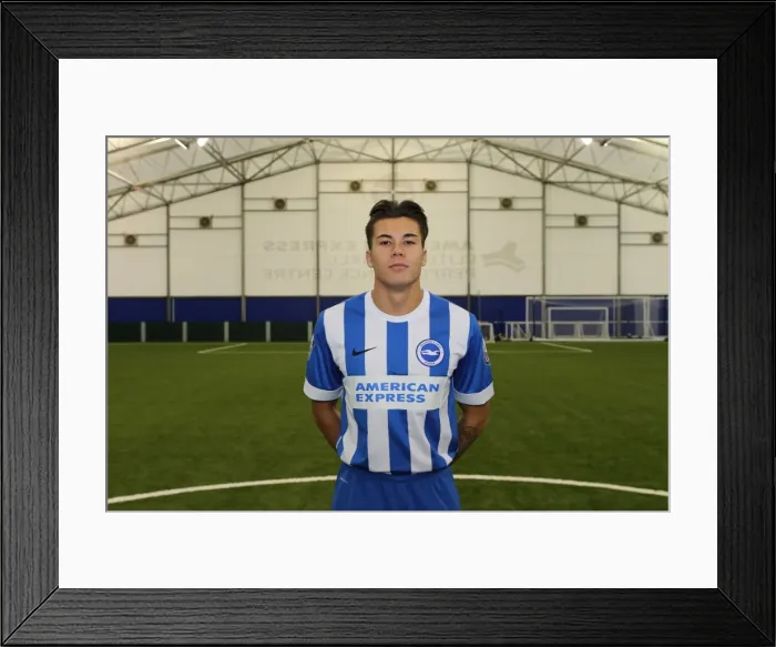 Framed Print : Brighton & Hove Albion FC U21 Team: 2015-16 Academy Year Portraits Framed Print : Brighton & Hove Albion FC U21 Team: 2015-16 Academy Year Portraits