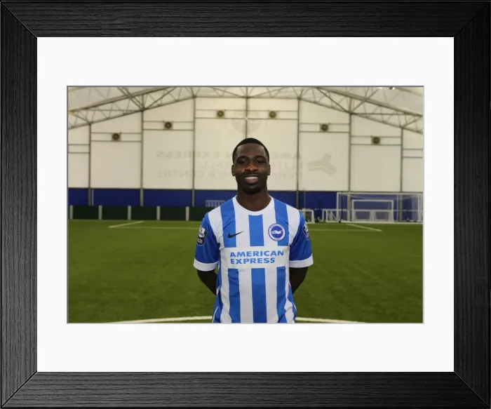 Framed Print : Brighton & Hove Albion FC U21 Team: 2015-16 Academy Annual Photoshoot - Headshots Framed Print : Brighton & Hove Albion FC U21 Team: 2015-16 Academy Annual Photoshoot - Headshots