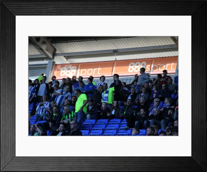 Framed Print : Brighton and Hove Albion Fans Unwavering Support at Reading Championship Match, October 2015 Framed Print : Brighton and Hove Albion Fans Unwavering Support at Reading Championship Match, October 2015