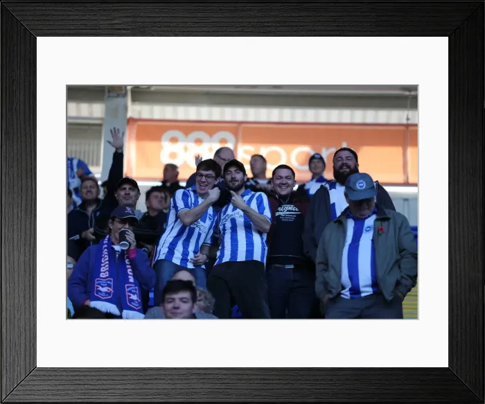 Framed Print : Brighton and Hove Albion Fans Passionate Display at Reading Championship Match, October 2015 Framed Print : Brighton and Hove Albion Fans Passionate Display at Reading Championship Match, October 2015