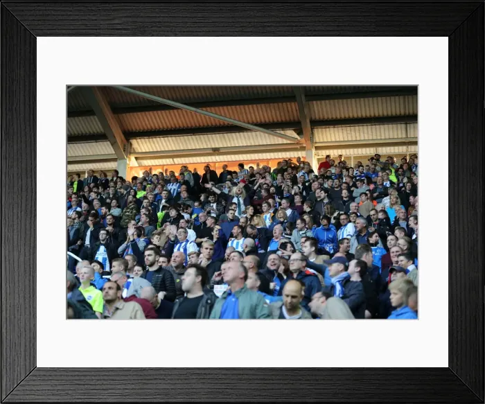 Framed Print : Brighton and Hove Albion FC: Unwavering Passion of Fans at Reading Championship Match, October 2015 Framed Print : Brighton and Hove Albion FC: Unwavering Passion of Fans at Reading Championship Match, October 2015