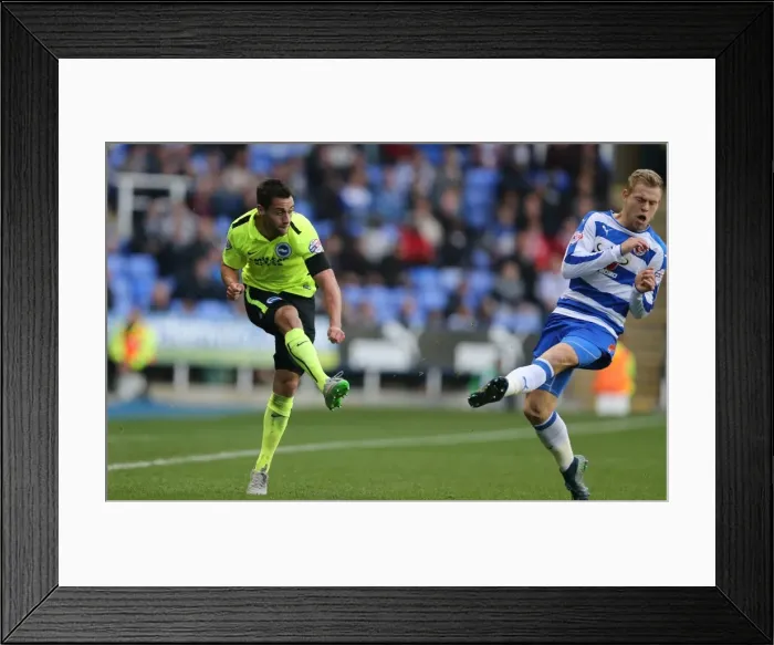 Framed Print : Sky Bet Championship Showdown: Reading vs. Brighton & Hove Albion at Madejski Stadium (31 / 10 / 2015) Framed Print : Sky Bet Championship Showdown: Reading vs. Brighton & Hove Albion at Madejski Stadium (31 / 10 / 2015)