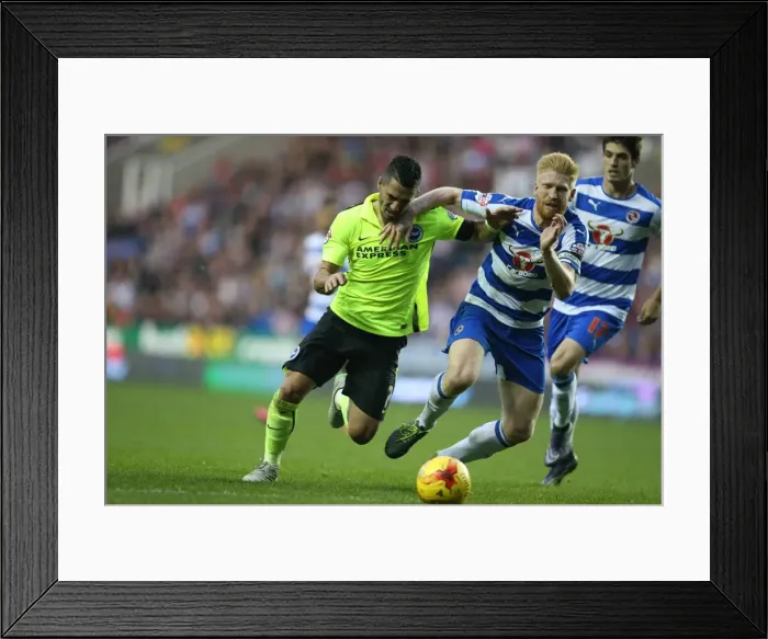 Framed Print : Sky Bet Championship Showdown: Reading vs. Brighton & Hove Albion at Madejski Stadium (31st October 2015) Framed Print : Sky Bet Championship Showdown: Reading vs. Brighton & Hove Albion at Madejski Stadium (31st October 2015)