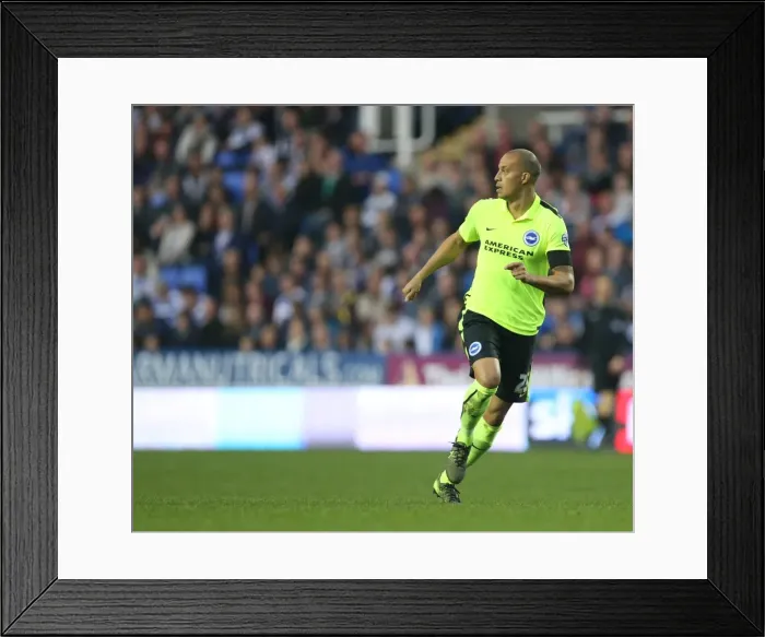 Framed Print : Sky Bet Championship Showdown: Reading vs. Brighton & Hove Albion at Madejski Stadium (31st October 2015) Framed Print : Sky Bet Championship Showdown: Reading vs. Brighton & Hove Albion at Madejski Stadium (31st October 2015)