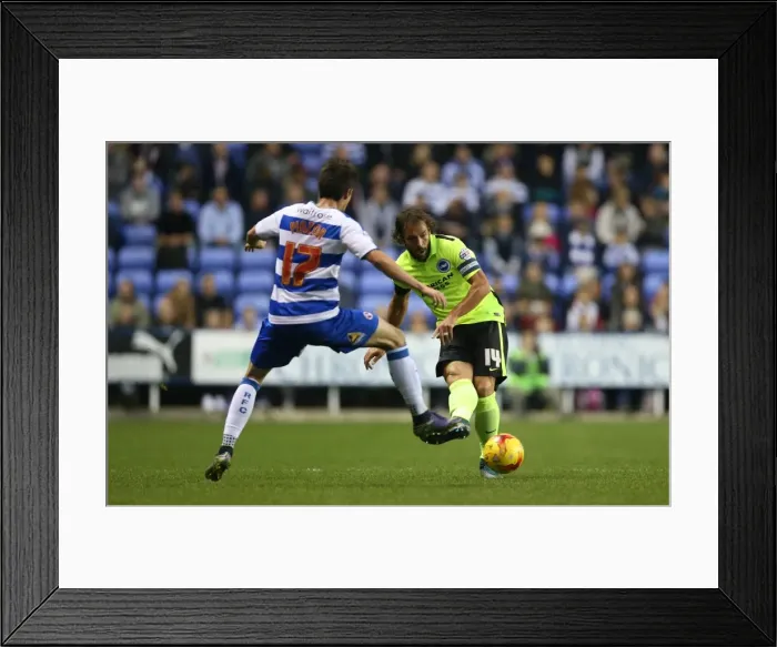 Framed Print : Sky Bet Championship Showdown: Reading vs. Brighton and Hove Albion at Madejski Stadium (31 October 2015) Framed Print : Sky Bet Championship Showdown: Reading vs. Brighton and Hove Albion at Madejski Stadium (31 October 2015)