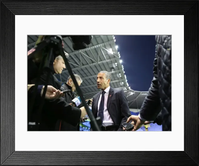 Framed Print : Sky Bet Championship Showdown: Reading vs. Brighton and Hove Albion at Madejski Stadium (31 October 2015) Framed Print : Sky Bet Championship Showdown: Reading vs. Brighton and Hove Albion at Madejski Stadium (31 October 2015)