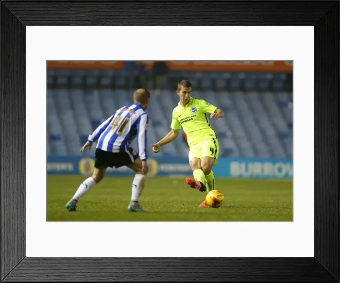 Framed Print : Championship Showdown: Sheffield Wednesday vs. Brighton & Hove Albion at Hillsborough Stadium (03NOV15) Framed Print : Championship Showdown: Sheffield Wednesday vs. Brighton & Hove Albion at Hillsborough Stadium (03NOV15)