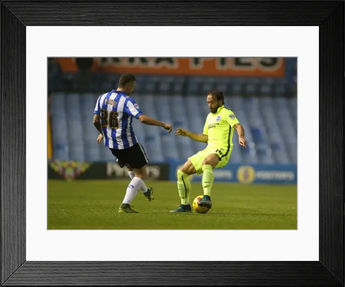 Framed Print : Brighton and Hove Albion vs Sheffield Wednesday: Sky Bet Championship Showdown at Hillsborough Stadium (03NOV15) Framed Print : Brighton and Hove Albion vs Sheffield Wednesday: Sky Bet Championship Showdown at Hillsborough Stadium (03NOV15)