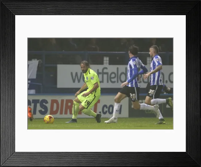Framed Print : Sky Bet Championship Showdown: Sheffield Wednesday vs. Brighton and Hove Albion at Hillsborough Stadium (03NOV15) Framed Print : Sky Bet Championship Showdown: Sheffield Wednesday vs. Brighton and Hove Albion at Hillsborough Stadium (03NOV15)