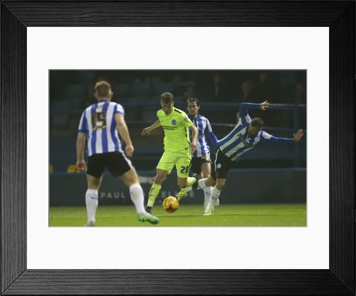 Framed Print : Sky Bet Championship Showdown: Sheffield Wednesday vs. Brighton & Hove Albion at Hillsborough Stadium (03NOV15) Framed Print : Sky Bet Championship Showdown: Sheffield Wednesday vs. Brighton & Hove Albion at Hillsborough Stadium (03NOV15)