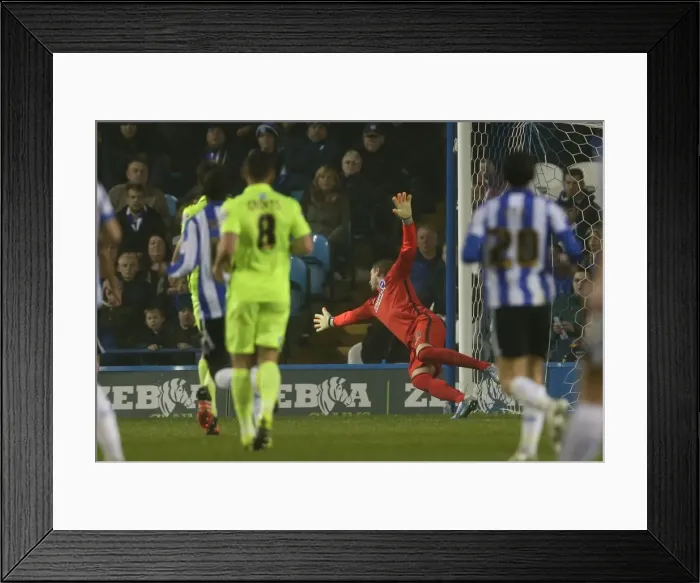 Framed Print : Championship Showdown: Sheffield Wednesday vs. Brighton & Hove Albion at Hillsborough Stadium (03 NOV 2015) Framed Print : Championship Showdown: Sheffield Wednesday vs. Brighton & Hove Albion at Hillsborough Stadium (03 NOV 2015)