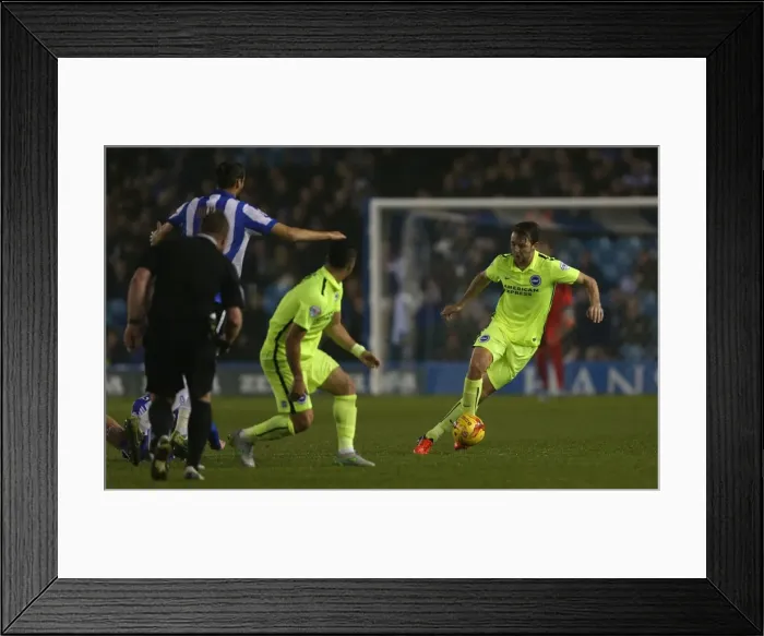 Framed Print : Championship Showdown: Sheffield Wednesday vs. Brighton & Hove Albion at Hillsborough Stadium (03NOV15) Framed Print : Championship Showdown: Sheffield Wednesday vs. Brighton & Hove Albion at Hillsborough Stadium (03NOV15)
