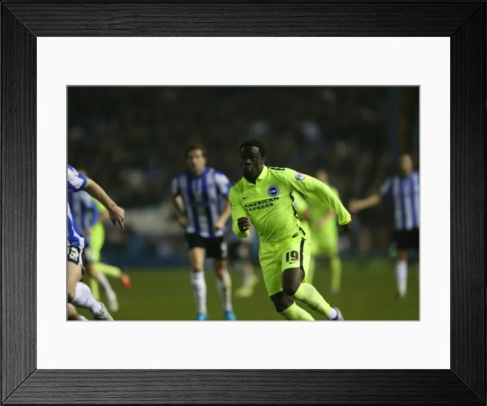 Framed Print : Brighton and Hove Albion vs Sheffield Wednesday: Sky Bet Championship Showdown at Hillsborough Stadium (03NOV15) Framed Print : Brighton and Hove Albion vs Sheffield Wednesday: Sky Bet Championship Showdown at Hillsborough Stadium (03NOV15)