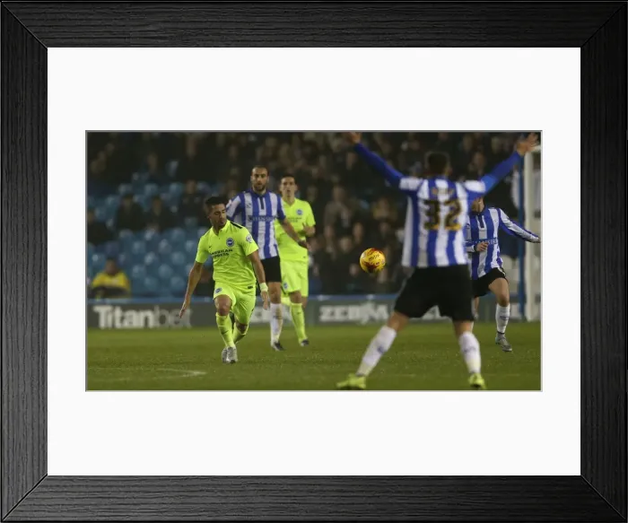 Framed Print : Sky Bet Championship Showdown: Sheffield Wednesday vs. Brighton & Hove Albion at Hillsborough Stadium (03NOV15) Framed Print : Sky Bet Championship Showdown: Sheffield Wednesday vs. Brighton & Hove Albion at Hillsborough Stadium (03NOV15)
