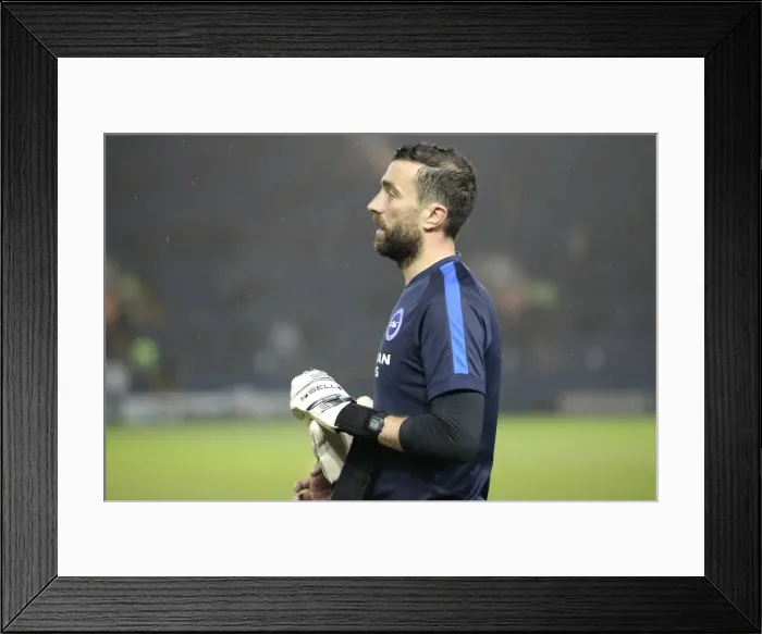 Framed Print : Brighton and Hove Albion vs Sheffield Wednesday: Sky Bet Championship Clash at Hillsborough Stadium (03NOV15) Framed Print : Brighton and Hove Albion vs Sheffield Wednesday: Sky Bet Championship Clash at Hillsborough Stadium (03NOV15)
