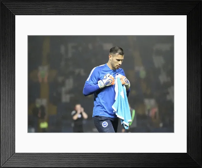 Framed Print : Championship Showdown: Sheffield Wednesday vs. Brighton & Hove Albion at Hillsborough Stadium (03NOV15) Framed Print : Championship Showdown: Sheffield Wednesday vs. Brighton & Hove Albion at Hillsborough Stadium (03NOV15)