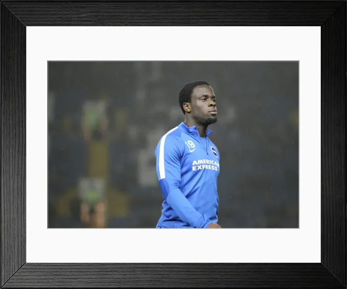 Framed Print : Championship Showdown: Sheffield Wednesday vs. Brighton & Hove Albion at Hillsborough Stadium (03NOV15)