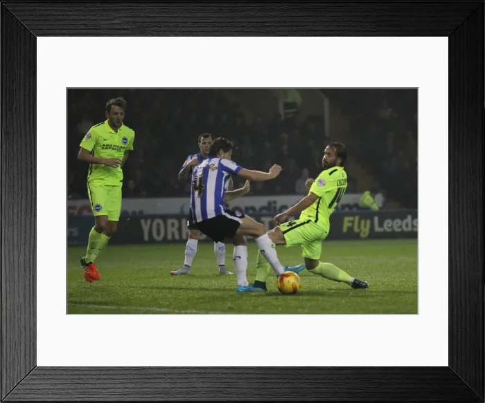 Framed Print : Brighton and Hove Albion vs. Sheffield Wednesday: Sky Bet Championship Showdown at Hillsborough Stadium (03NOV15) Framed Print : Brighton and Hove Albion vs. Sheffield Wednesday: Sky Bet Championship Showdown at Hillsborough Stadium (03NOV15)